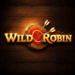 WildRobin Casino